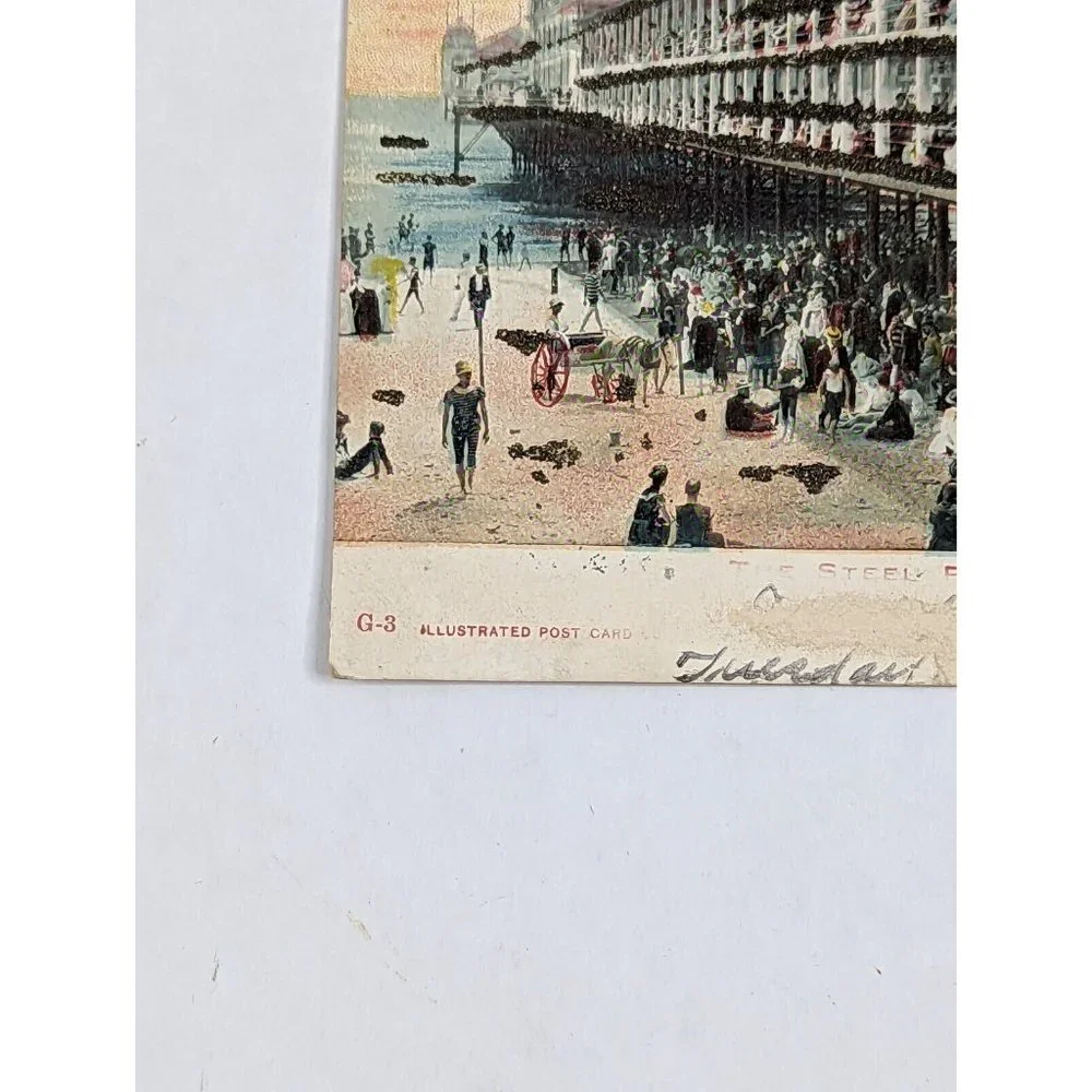 Vintage Postcard Illustrated The Steel Pier Atlantic City New‎ Jersey NJ 1900s
